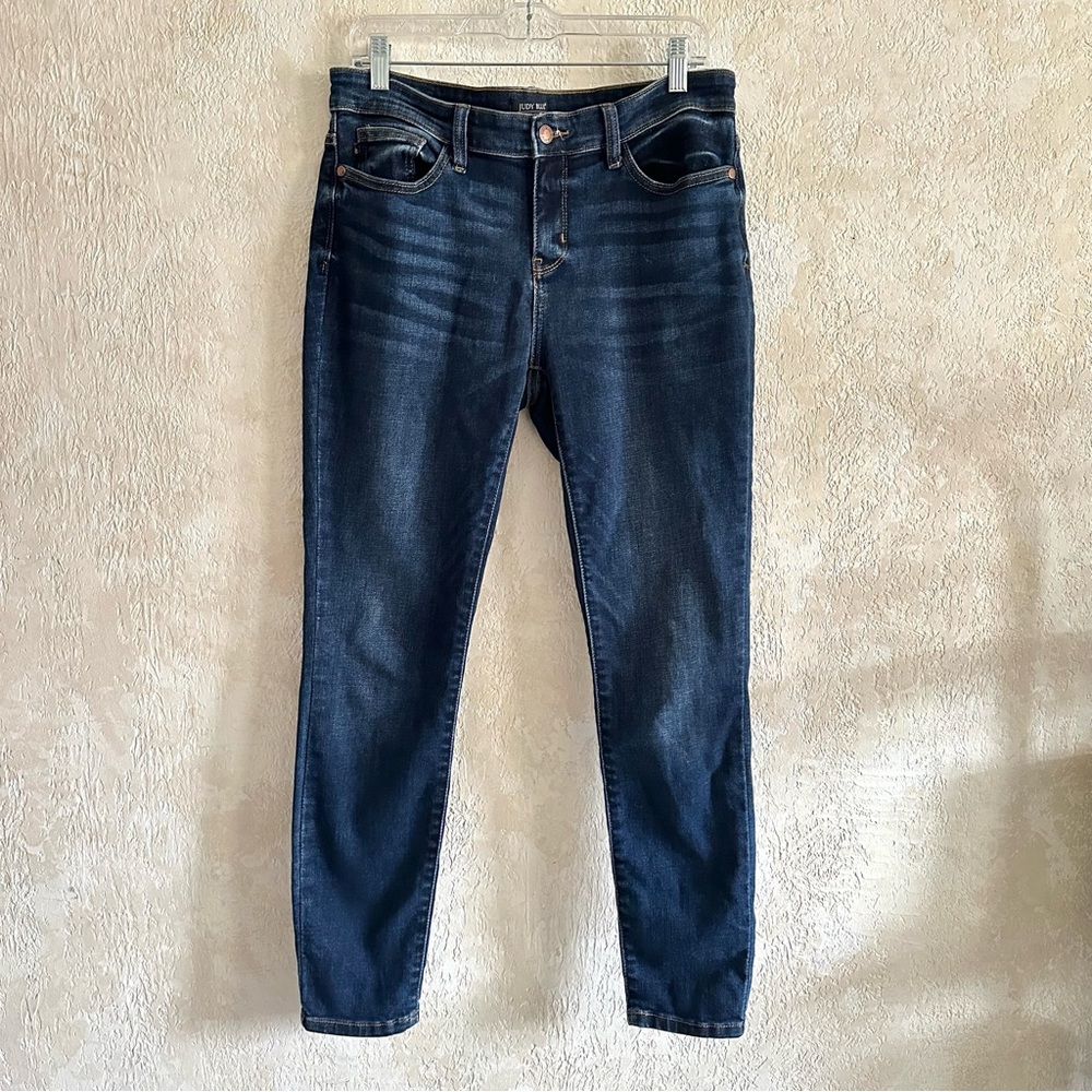 Judy Blue Skinny Jeans